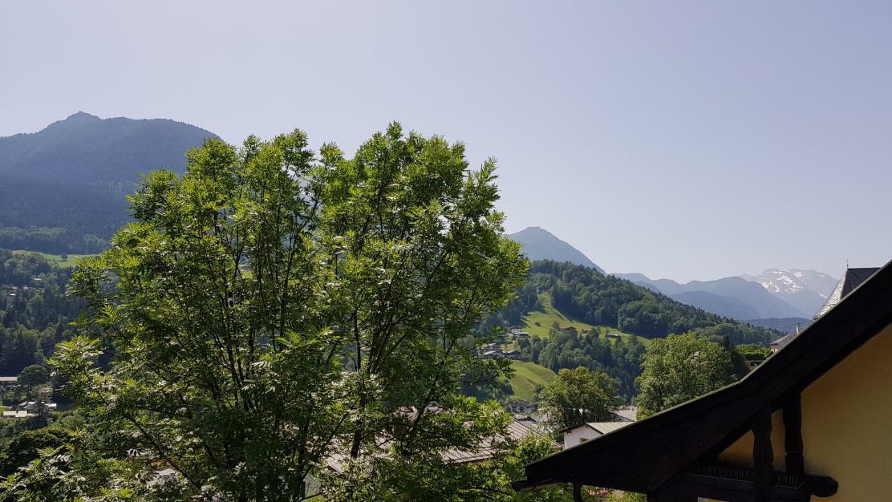 Apartment Raphaelo Nonntal 8 *